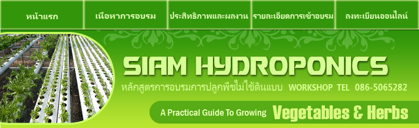 อบรม ไฮโดรโปนิก,ผัก hydroponics สอนวิธีปลูกผัก ไฮโดร hydro 086-5065282